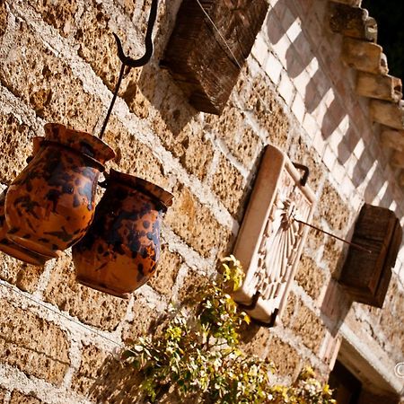 Country House La Cipolla D'Oro Potenza Picena Zewnętrze zdjęcie
