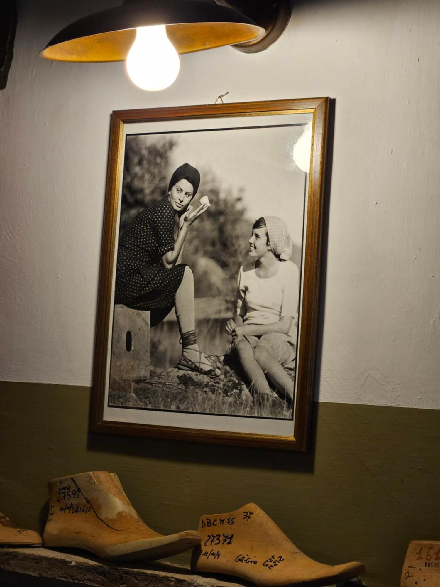 Country House La Cipolla D'Oro Potenza Picena Zewnętrze zdjęcie